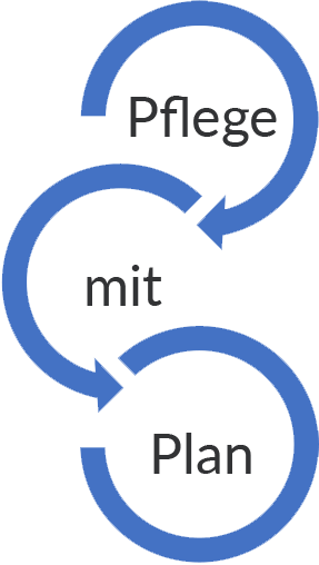 Logo Pflege mit Plan