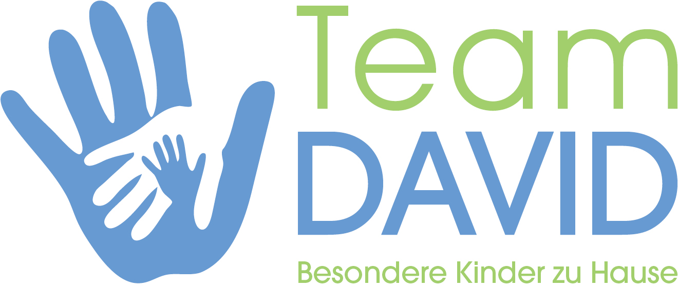 Team DAVID Logo