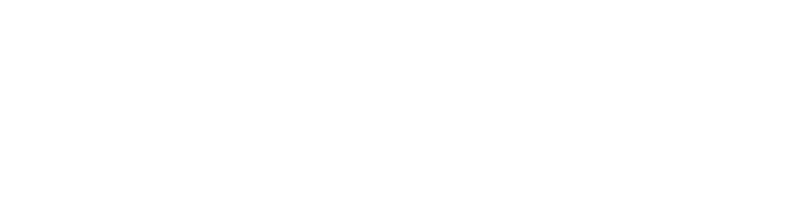 Brina Pflege Ambulanter Pflegedienst Logo