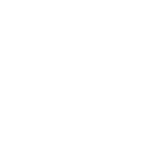 DIE AMBULANTEN Home Care Logo