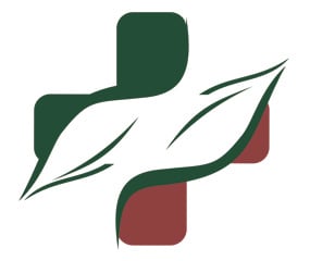 Pflegedienst Busch Logo