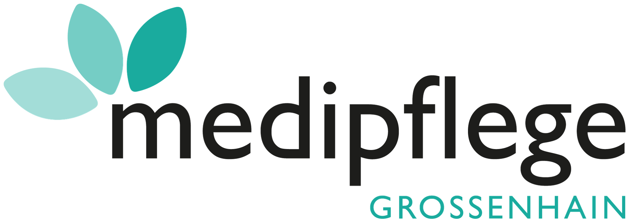Medi Pflege Großenhain Logo