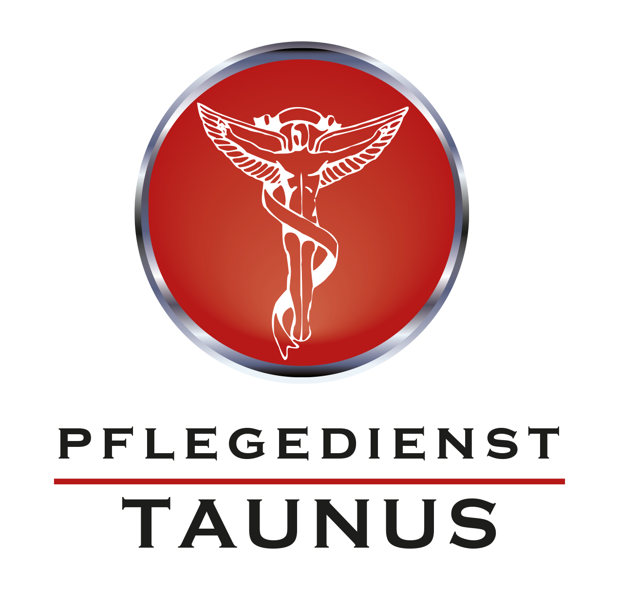 Logo Pflegedienst Taunus Ivanka Kajinic