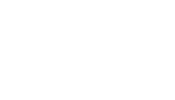 PROMEDICUS PFLEGEDIENST Logo